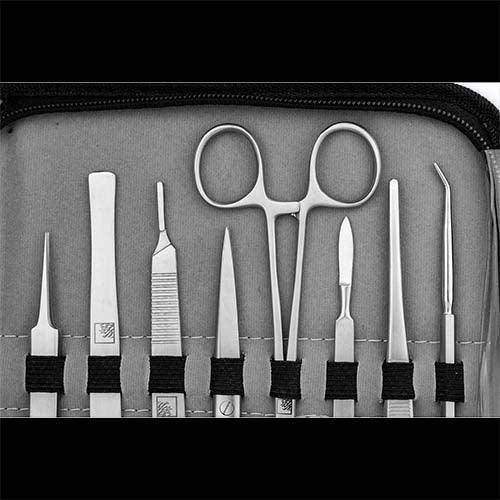 Stainless Steel Fragging Tool Kit with Deluxe Case (15 PCS) – SR Aquaristik