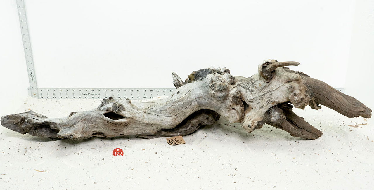 WYSIWYG #122RD - Weathered Driftwood (XXXL)