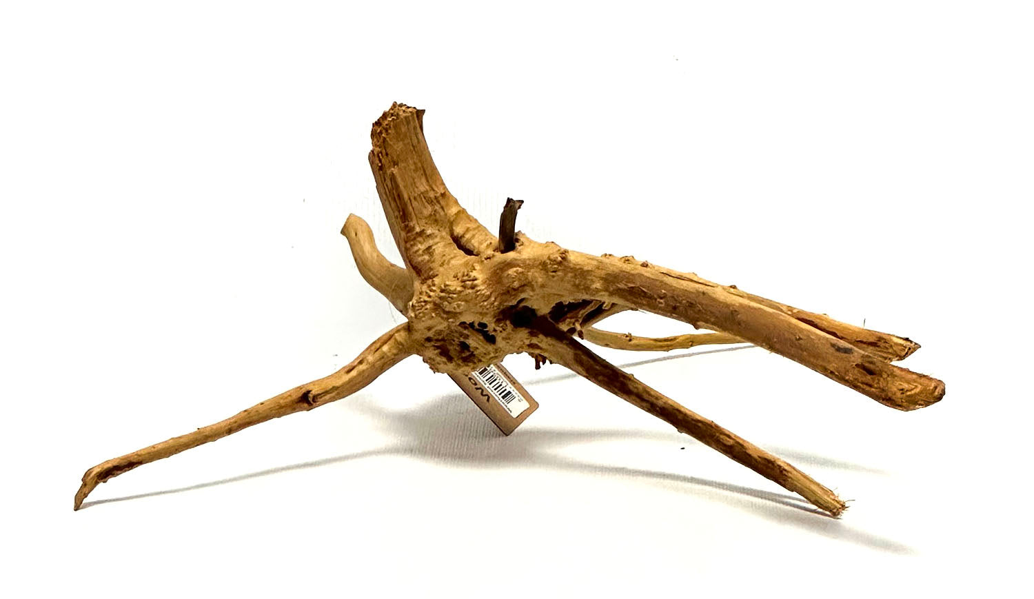 Weathered Spider Wood