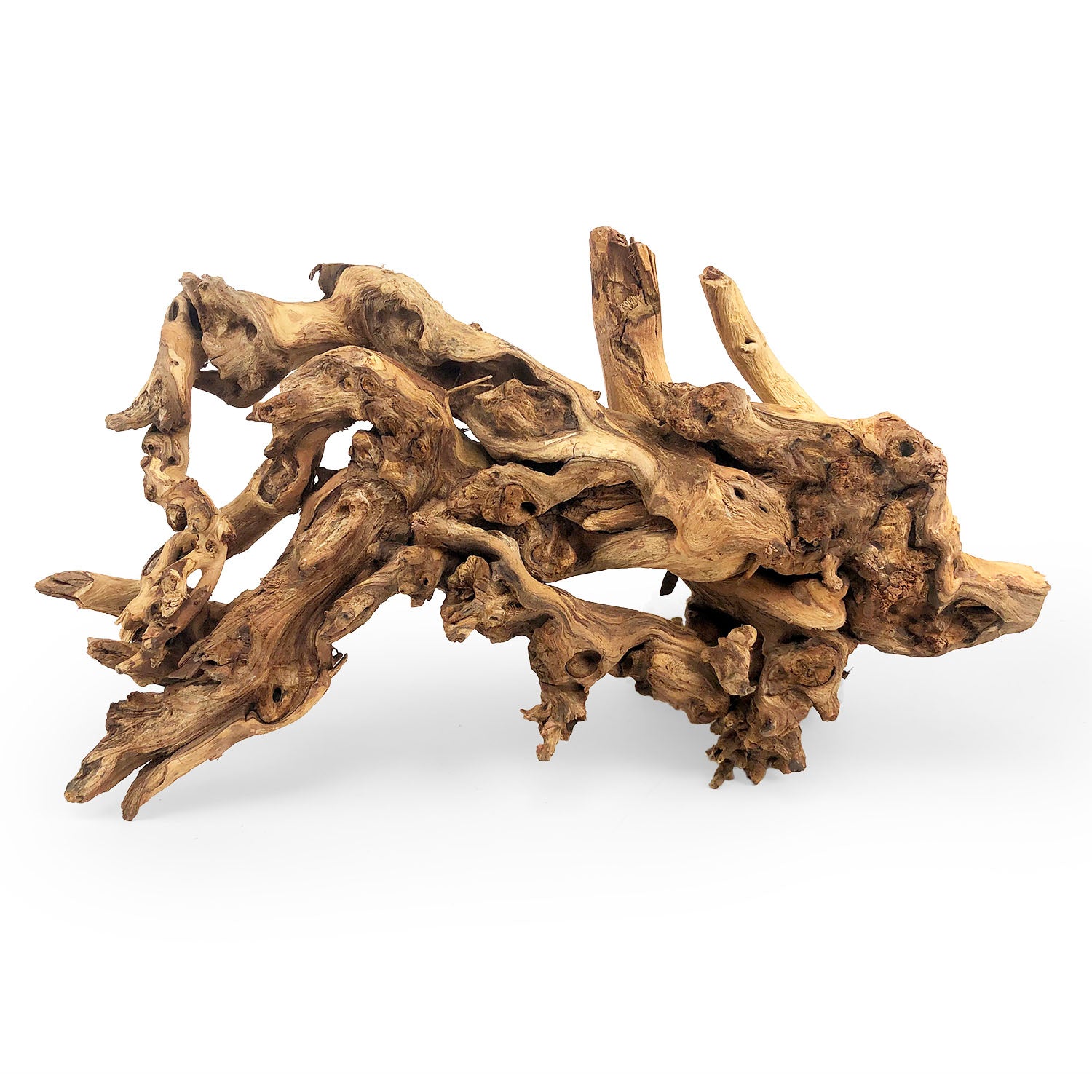 SR Aquaristik Gnarly Wood