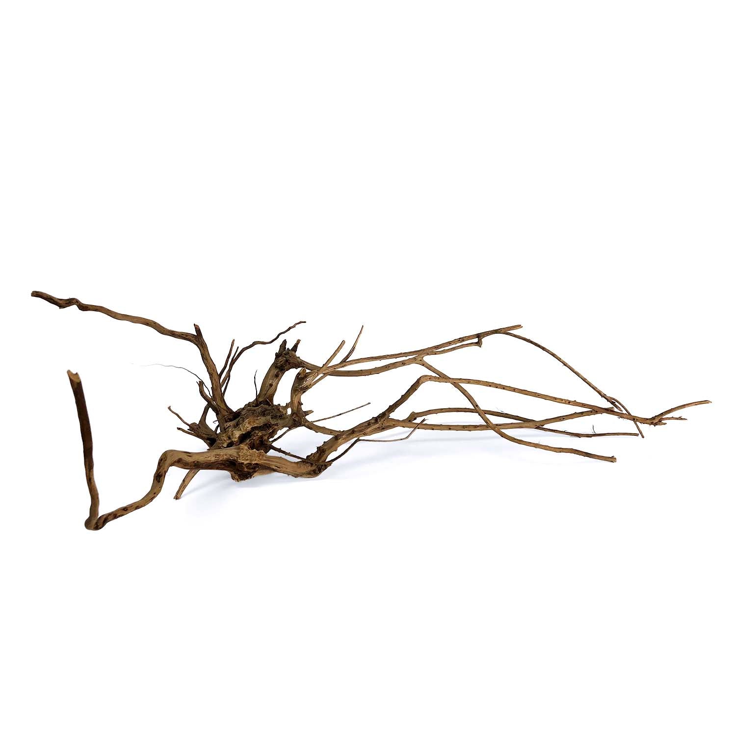 Pine Spider Wood / Tiger Wood