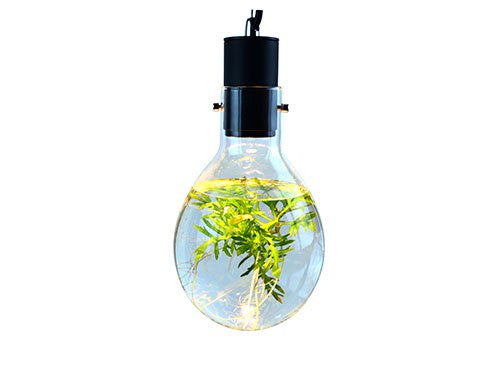 Hanging Luminarium Aquarium